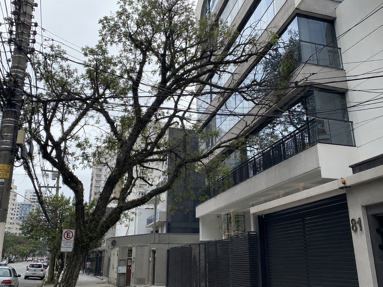 Galhos de árvore em conflito com a fiação elétrica e a fachada do prédio